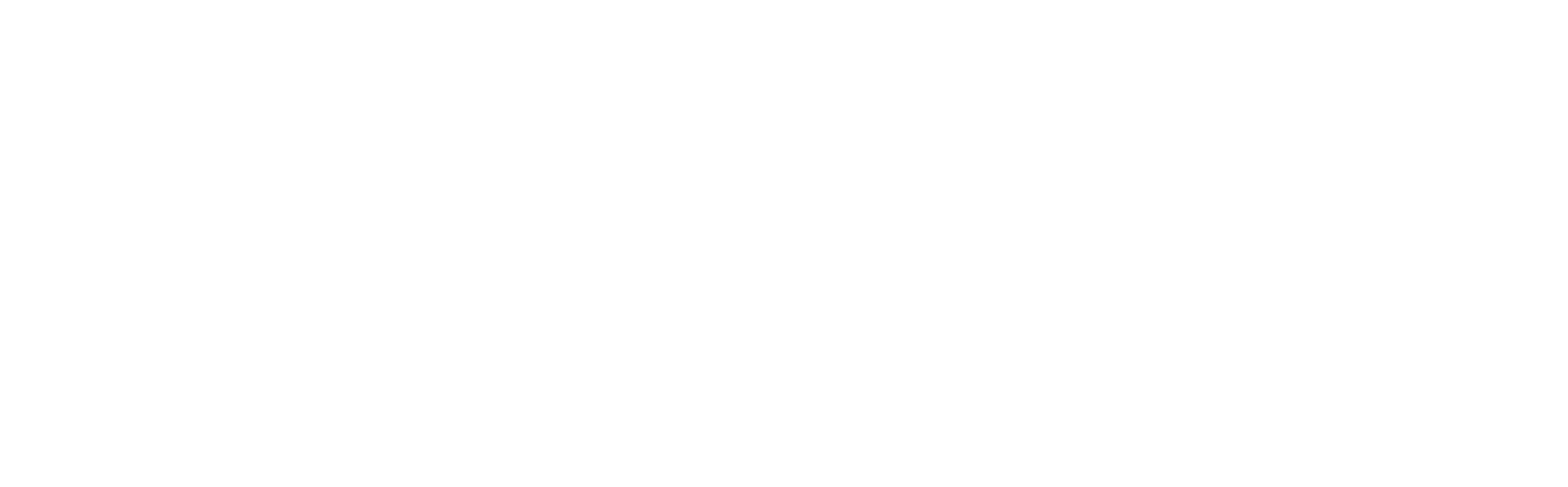 WSI South America