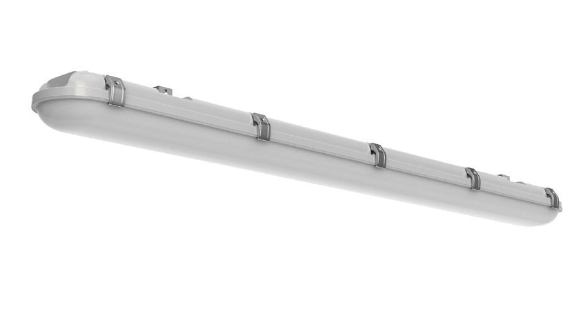 nsf-rated lighting